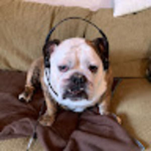 Meet your Posher, Bucky